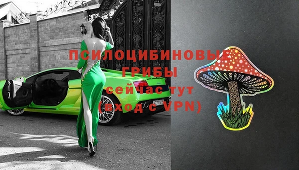 МДПВ Осинники