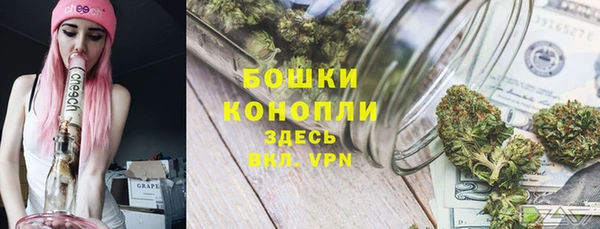 МДПВ Осинники