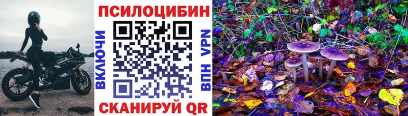 Галлюциногенные грибы Magic Shrooms где можно купить наркотик Зеленоградск